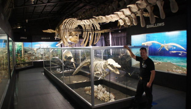 Crocodile Park & Tribu K’Mindanawan Tour - Photo 3