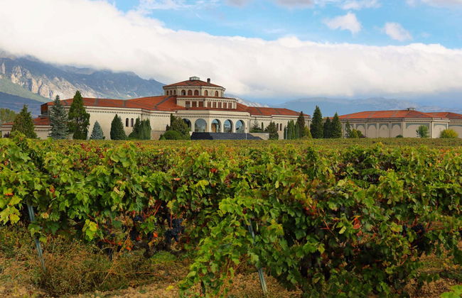 Visita a las bodegas Campillo - Foto 2