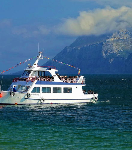 Foto de Paseo en barco desde Laredo hasta el Faro del Caballo de Santoña
