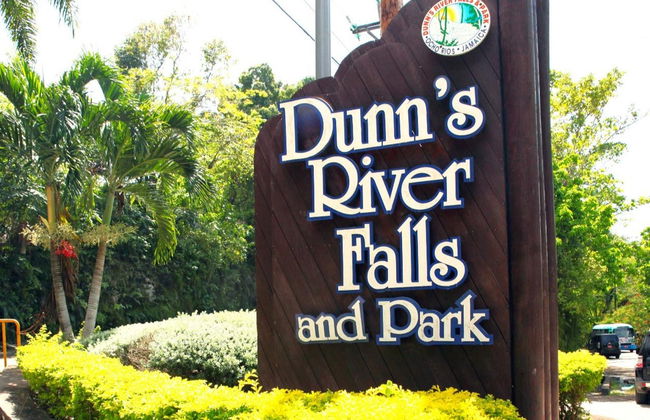 Excursão às cascatas do Rio Dunn - Foto 2