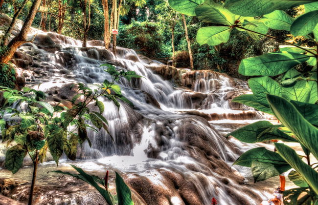 Excursión a las cascadas del río Dunn - Foto 6