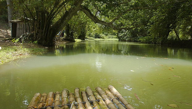 Quimbaya Bamboo Raft Ride - Photo 3