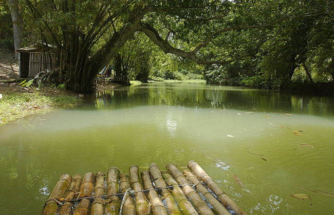 Passeio de jangada de bambu por Quimbaya - Foto 1