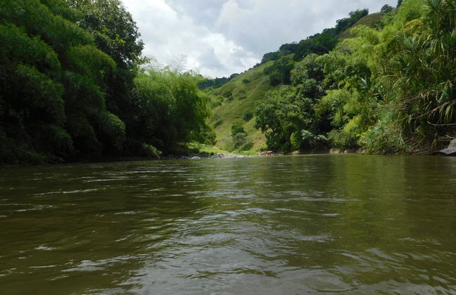 Passeio de jangada de bambu por Quimbaya - Foto 3