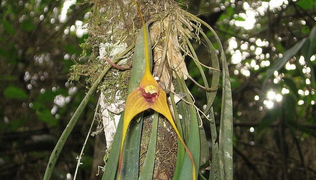 Quimbaya Bamboo Raft Ride - Photo 4