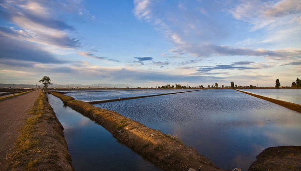 Excursion dans le delta de l'Èbre + Balade en catamaran - Photo 3