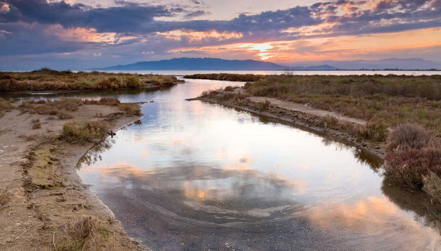Delta del Ebro Day Trip & Boat Ride - Photo 5