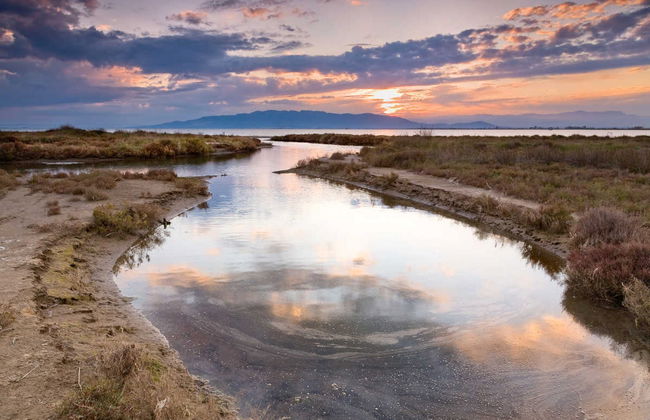Escursione al Delta dell'Ebro + Giro in catamarano - Foto 6