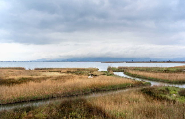 Excursão ao Delta do Ebro + Passeio de catamarã - Foto 1