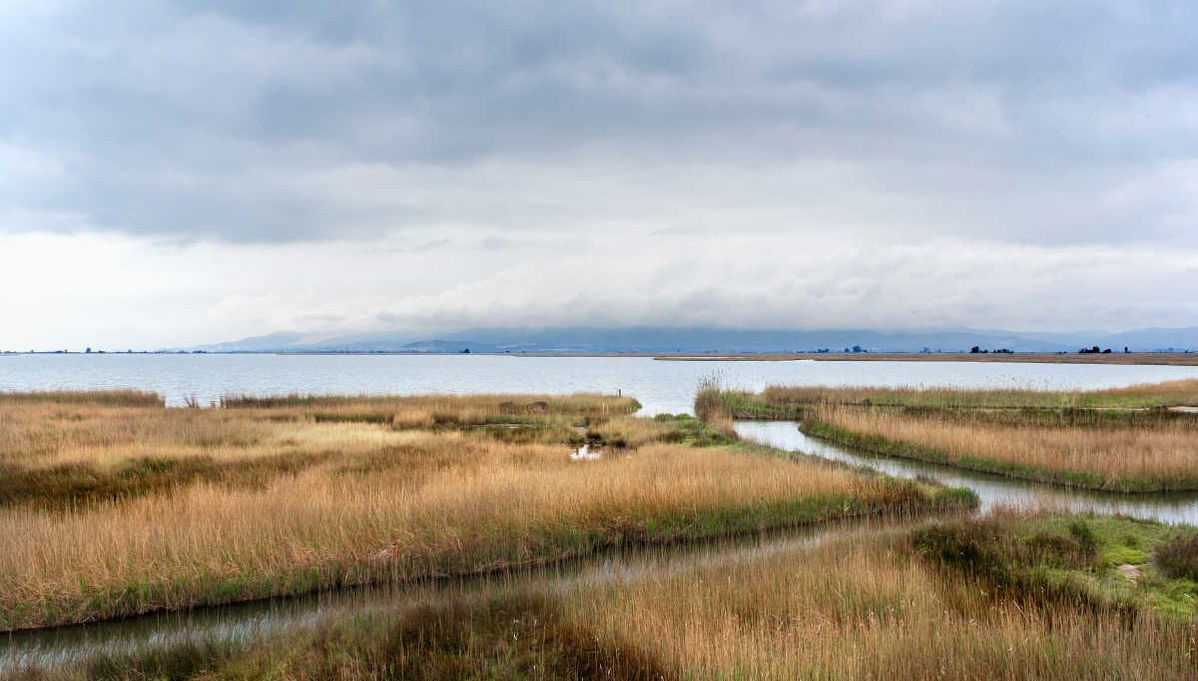 Excursion dans le delta de l'Èbre + Balade en catamaran - Photo 1