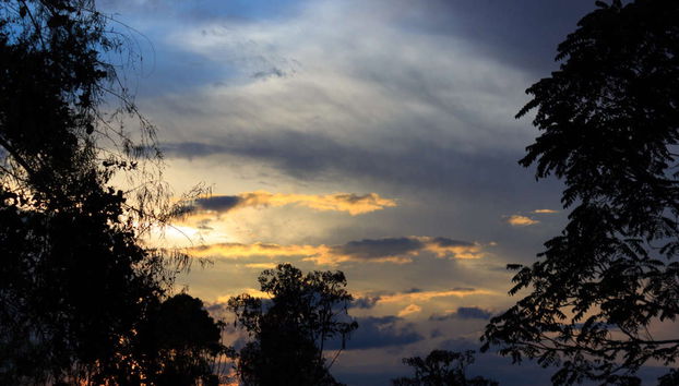 Night in the Amazon Jungle - Photo 5