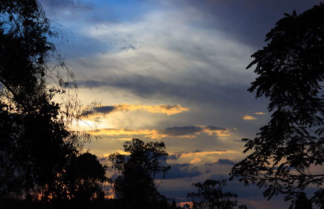 Trekking serale nella Foresta Amazzonica - Foto 7