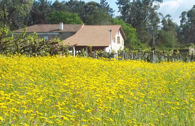 Visita a la bodega Corisca - Foto 4