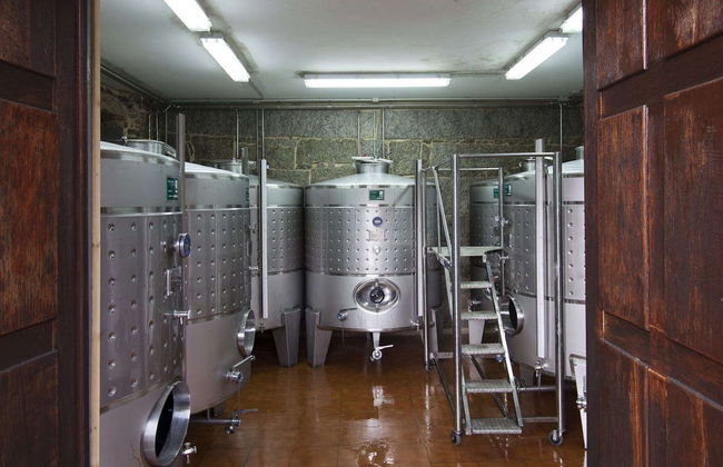 Visita a la bodega Corisca - Foto 2
