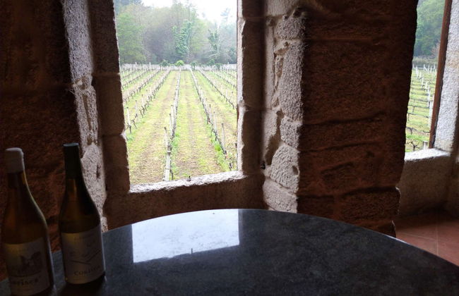 Visita a la bodega Corisca - Foto 6