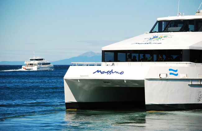 Beagle Channel Cruise and Sea Lion Island - Photo 3