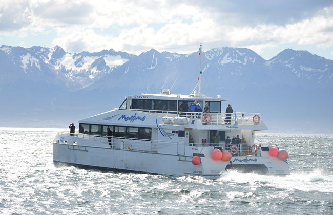Beagle Channel Cruise and Sea Lion Island - Photo 5