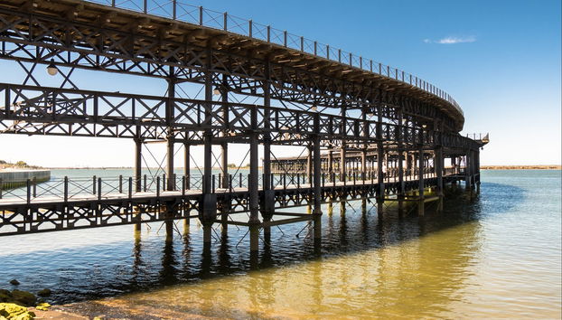 Paseo en barco por la ría de Huelva + Degustación de gambas - Foto 3
