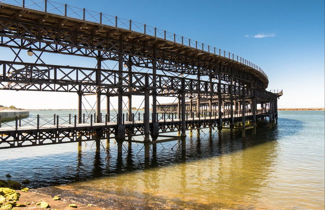 Balade en bateau dans l'estuaire de Huelva + Dégustation de gambas - Photo 7