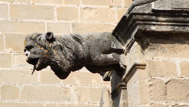 Tour privado por Jerez ¡Tú eliges - Foto 4