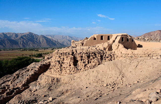 Nazca Archeological Tour - Photo 4