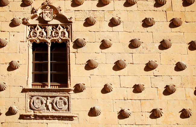 Tour di Salamanca al completo - Foto 6