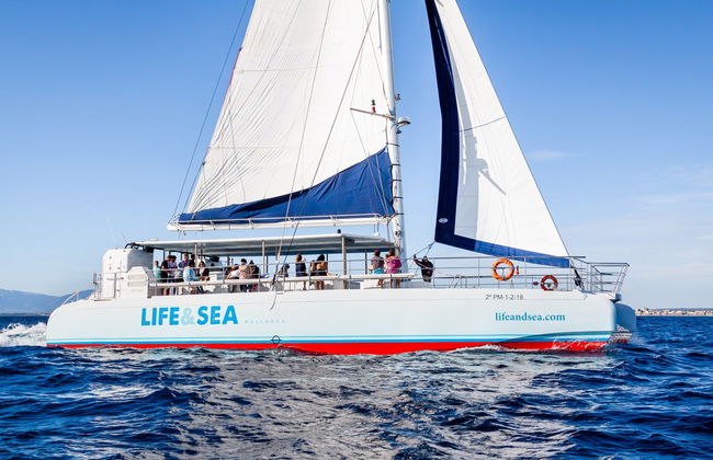 Paseo en catamarán por la bahía de Palma - Foto 7