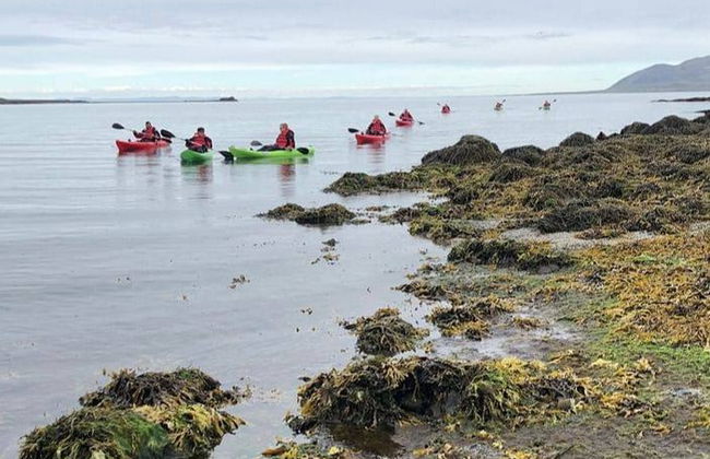Tour en kayak por Grundarfjörður - Foto 3