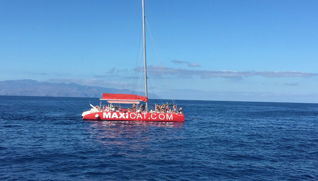 Paseo en catamarán por Los Gigantes, Costa Adeje y Masca - Foto 1