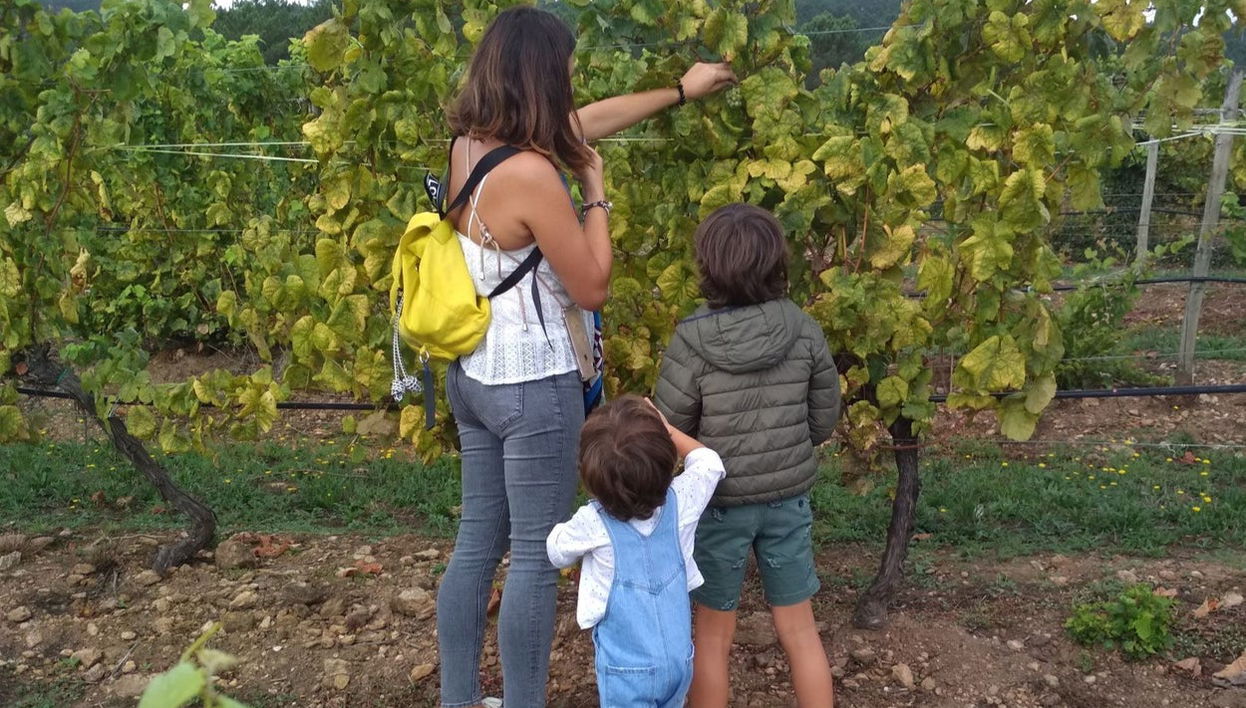 Visita a Bodegas Terras Gauda - Foto 1