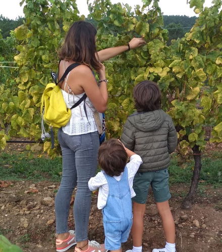 Foto de Visita a Bodegas Terras Gauda