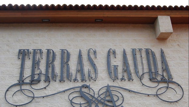 Visita a Bodegas Terras Gauda - Foto 5