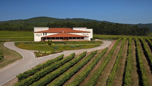 Visita a Bodegas Terras Gauda - Foto 4