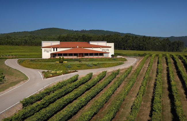 Visite du domaine viticole Terras Gauda - Photo 4