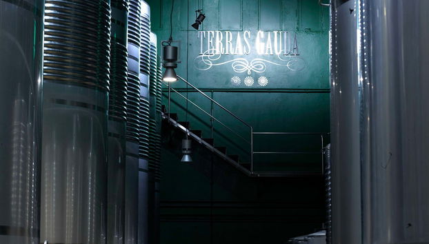 Visita a Bodegas Terras Gauda - Foto 2