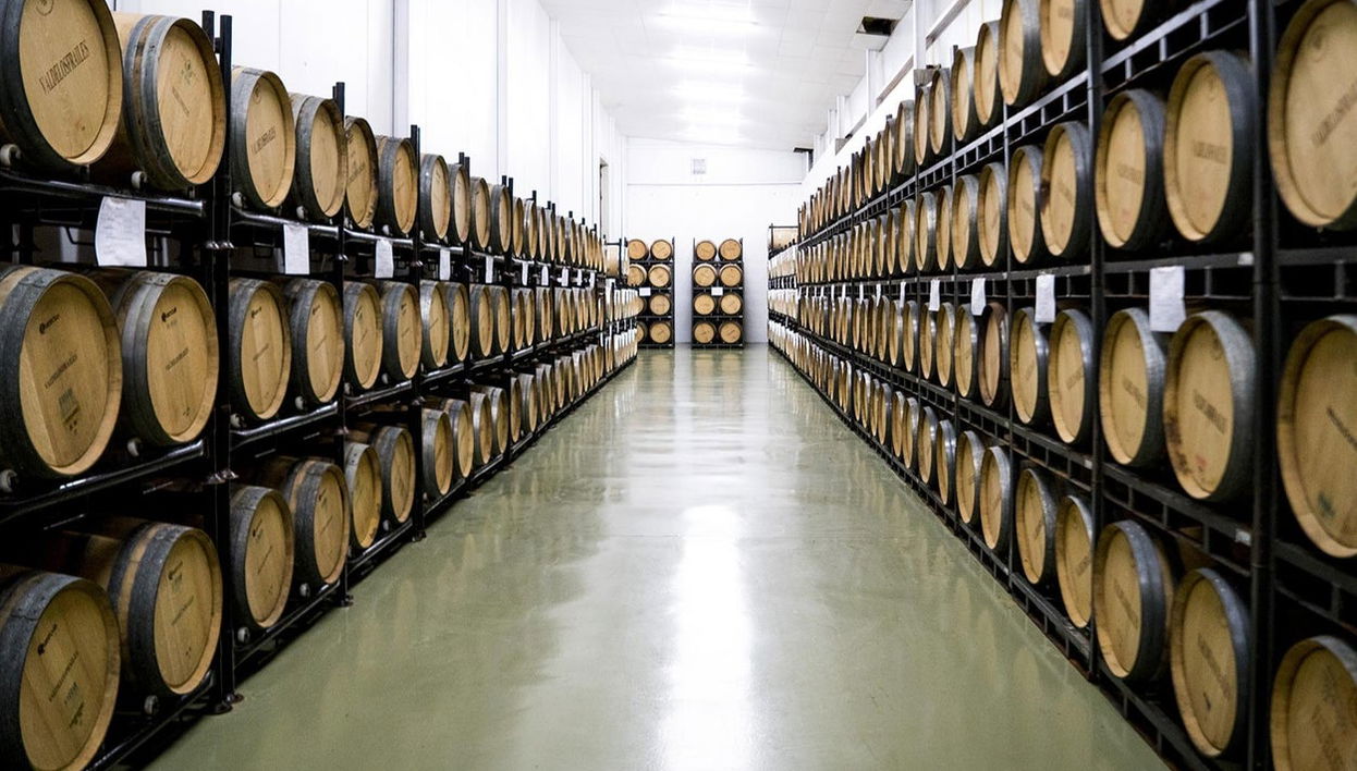 Visita a la bodega Valdelosfrailes - Foto 1