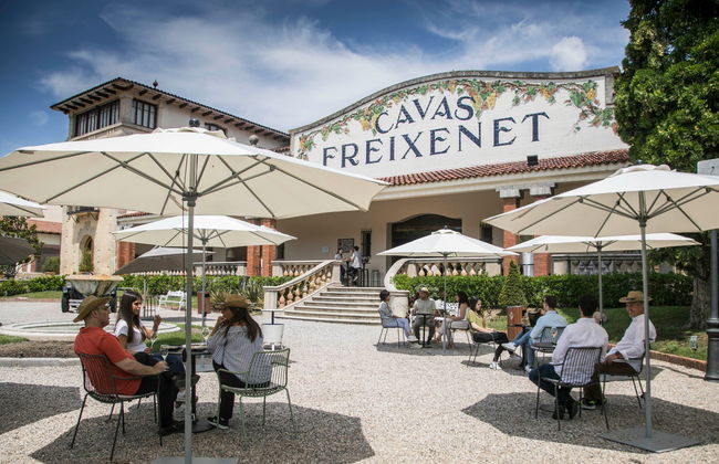 Freixenet Winery Tour - Photo 1