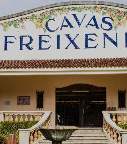 Foto de Visita a la bodega Freixenet