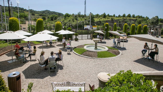 Freixenet Winery Tour - Photo 2