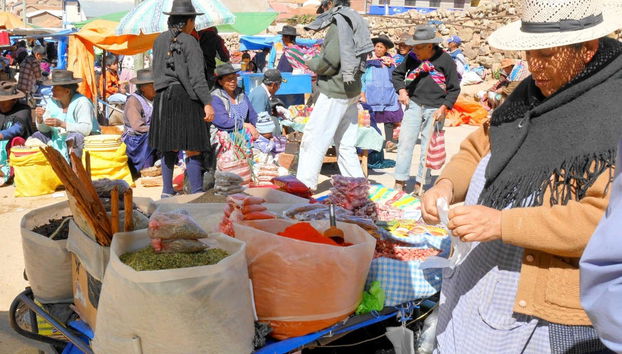 Excursão privada a Tarabuco - Foto 2