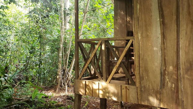 Rio Agujitas Farm Birdwatching Tour - Foto 5