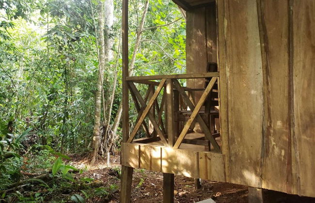 Rio Agujitas Farm Birdwatching Tour - Foto 5