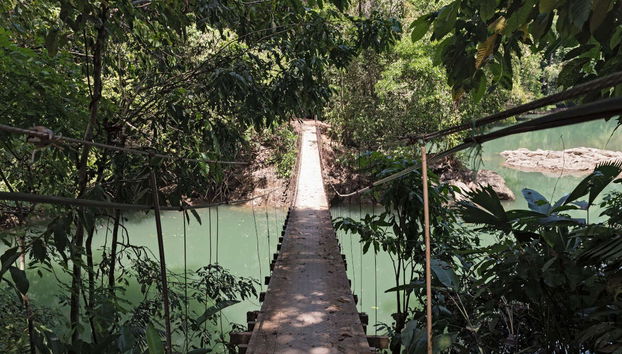 Rio Agujitas Farm Birdwatching Tour - Foto 2