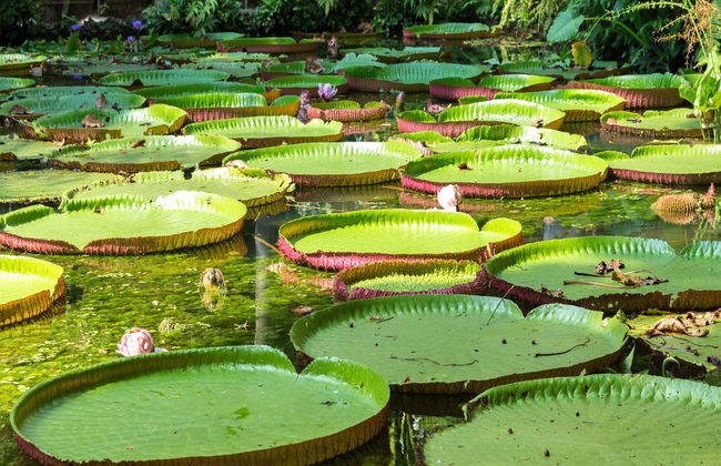 Escursione alla Riserva Natura Park - Foto 3