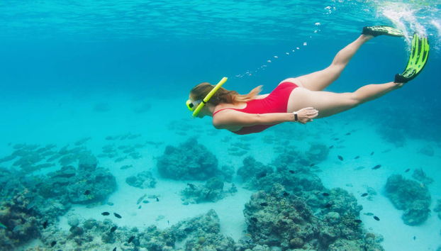 Tour de quadriciclo por Mallorca + Snorkel saindo de Palma - Foto 5