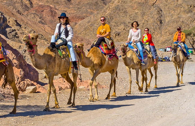 Paseo en camello y noche en el desierto - Foto 7