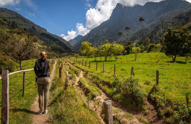 Trilha pelo vale do Cocora - Foto 1