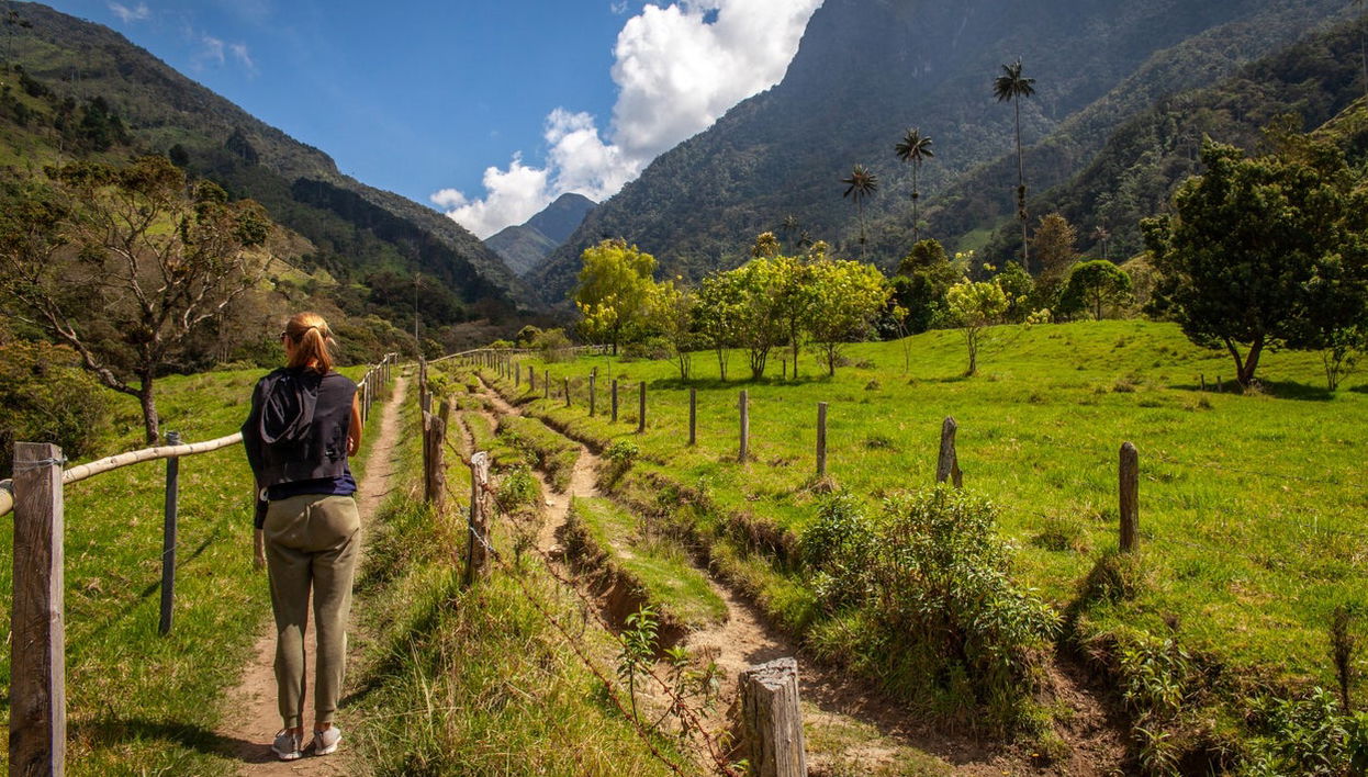 Cocora Valley Hiking Tour - Photo 1