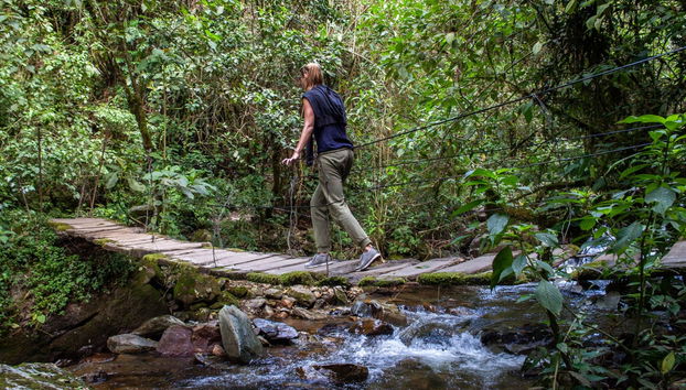 Cocora Valley Hiking Tour - Photo 2
