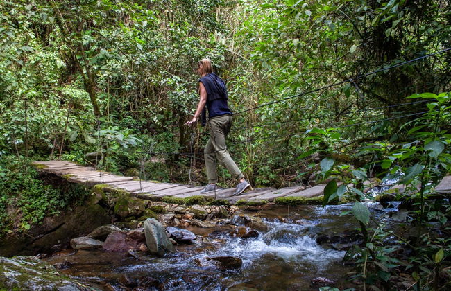 Trilha pelo vale do Cocora - Foto 2
